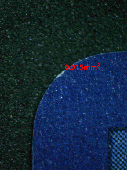 05955 PIDGEOT EX - ValueUp