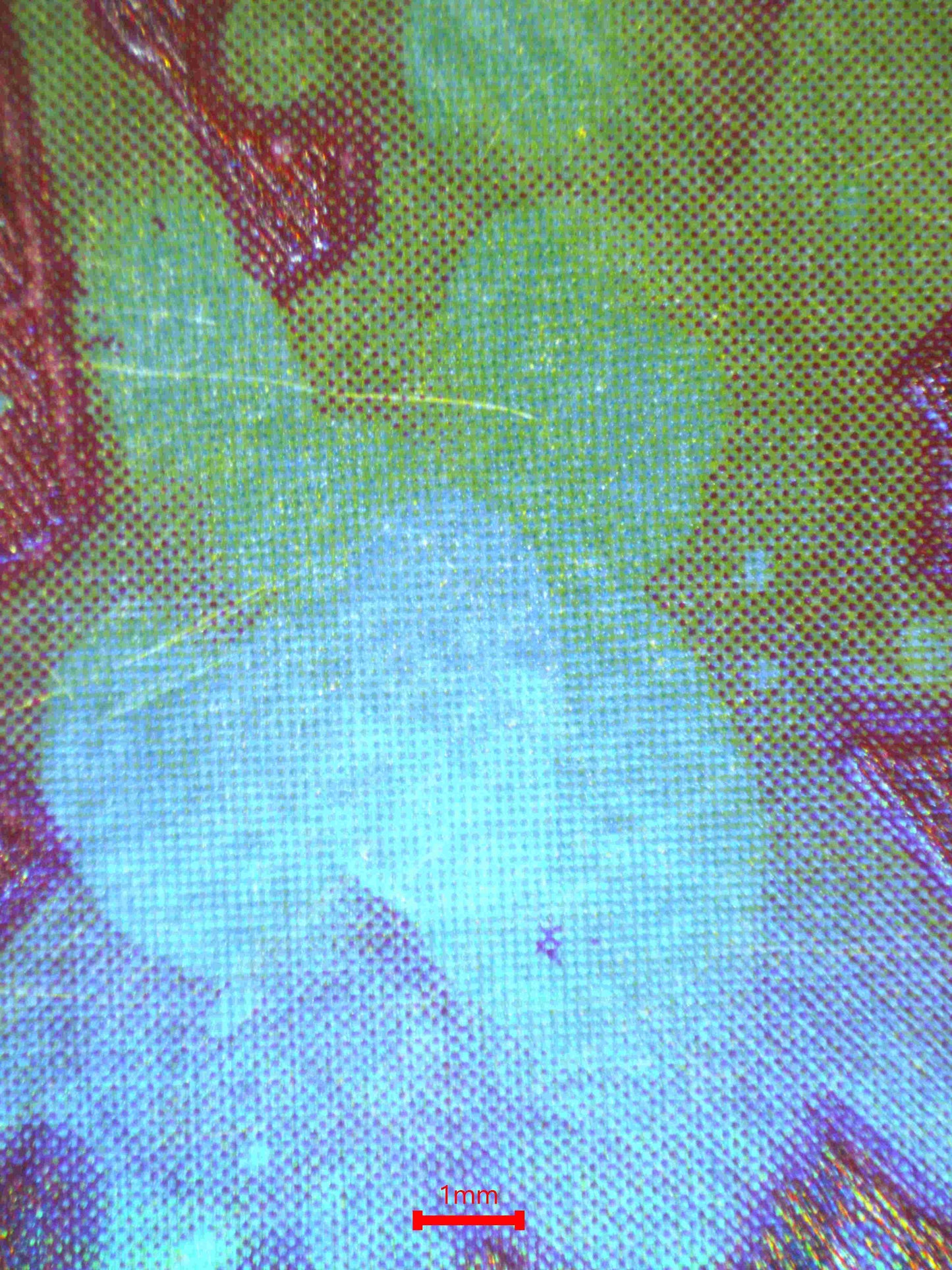 05961 BABY 5 - ValueUp