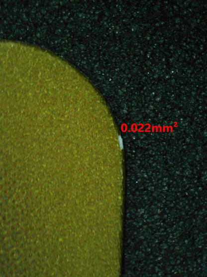 05980 TOEDSCOOL (JAPANESE) - ValueUp