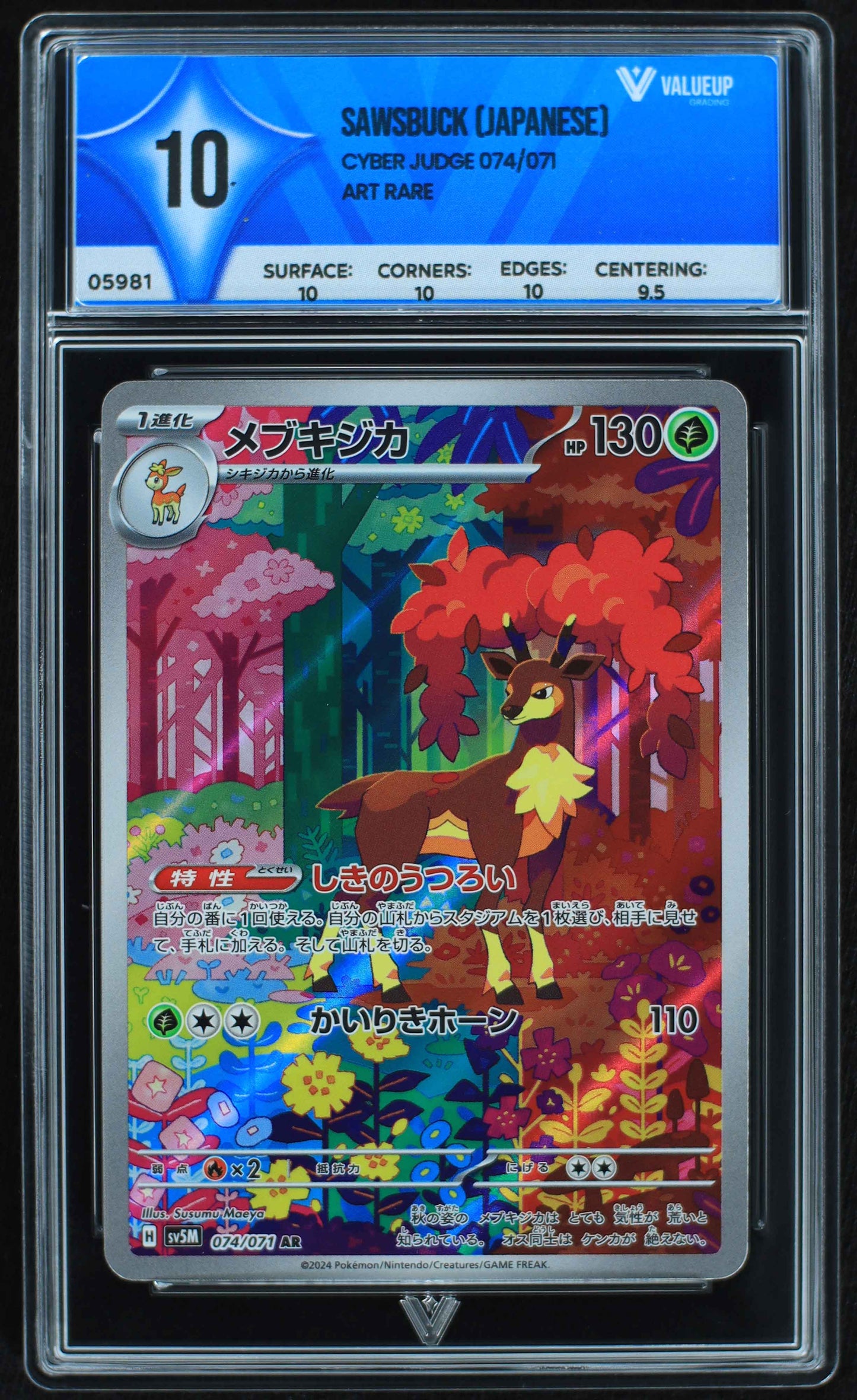 05981 SAWSBUCK (JAPANESE) - ValueUp