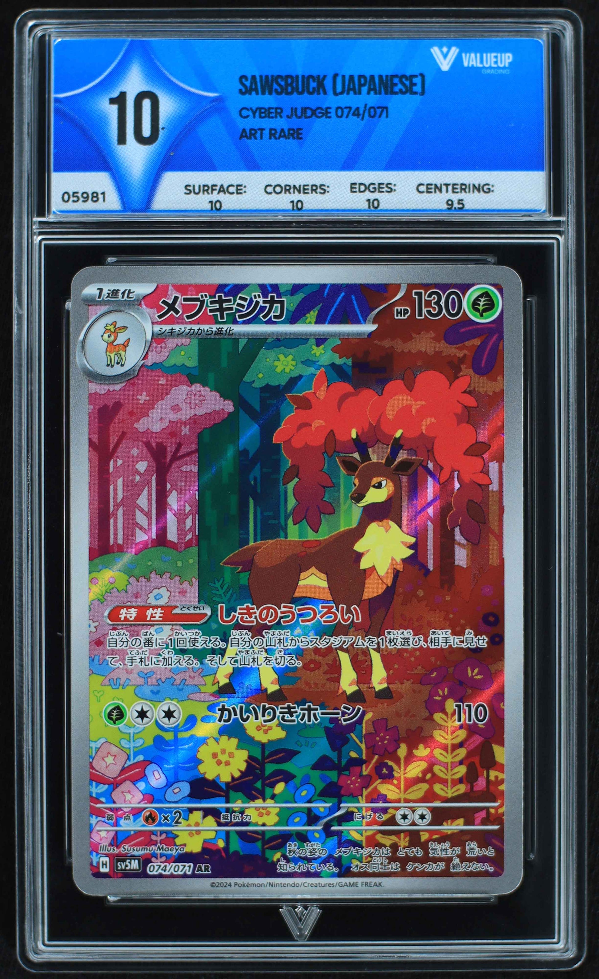 05981 SAWSBUCK (JAPANESE) - ValueUp