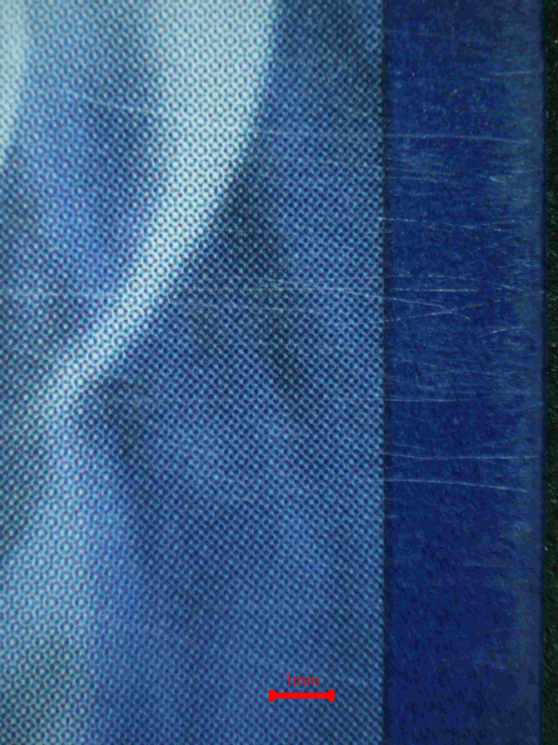 06002 RADIANT STEELIX - ValueUp