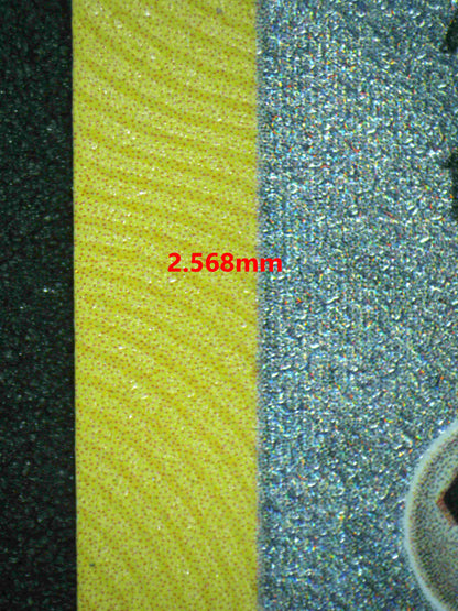 06002 RADIANT STEELIX - ValueUp