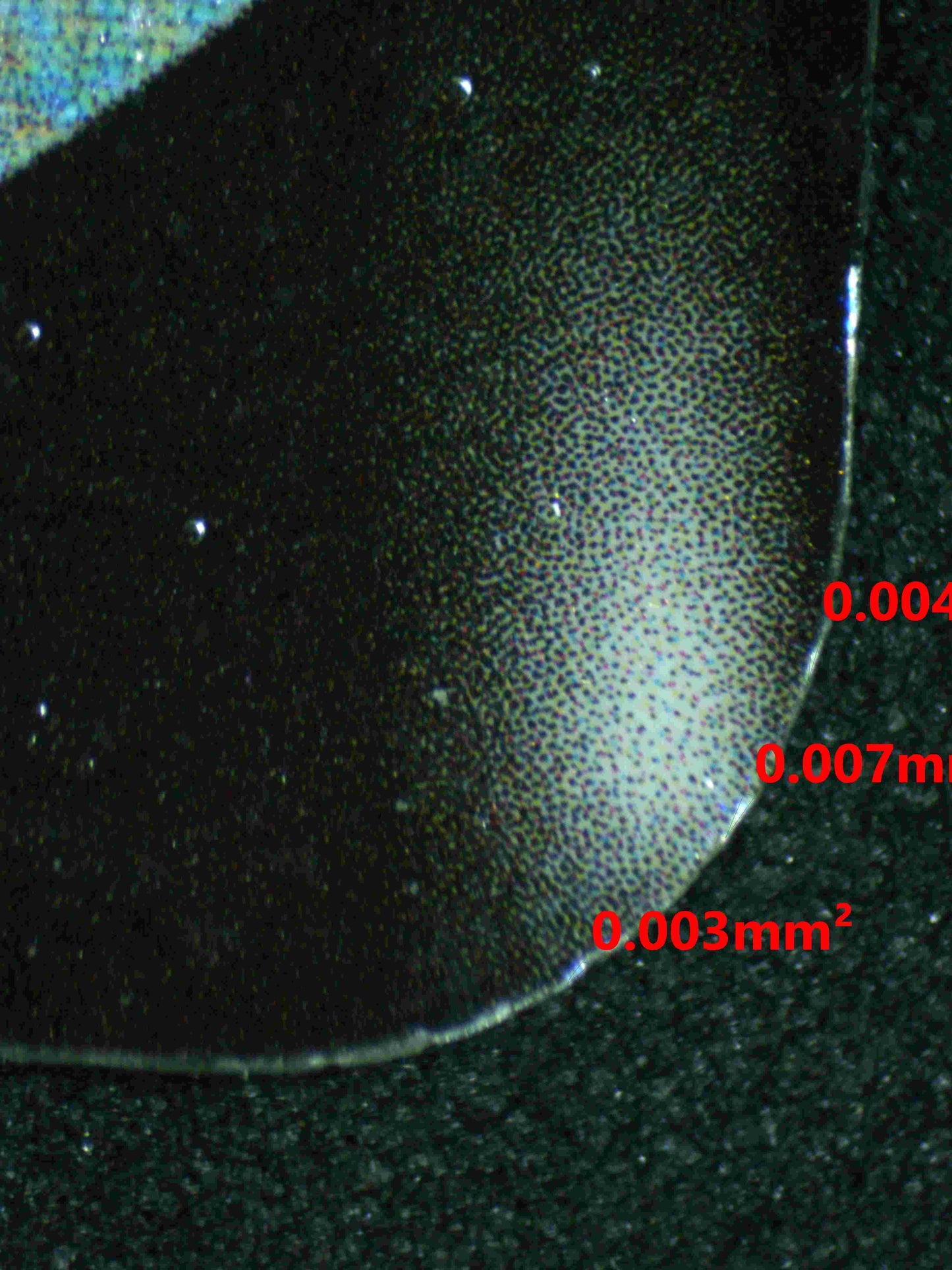 06020 PIDGEOT V (SPANISH) - ValueUp