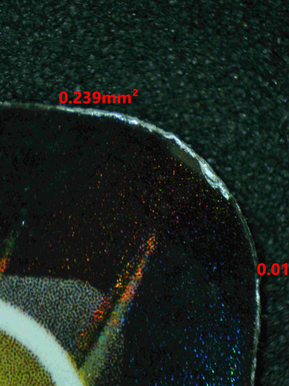 06021 HISUIAN GOODRA V (SPANISH) - ValueUp