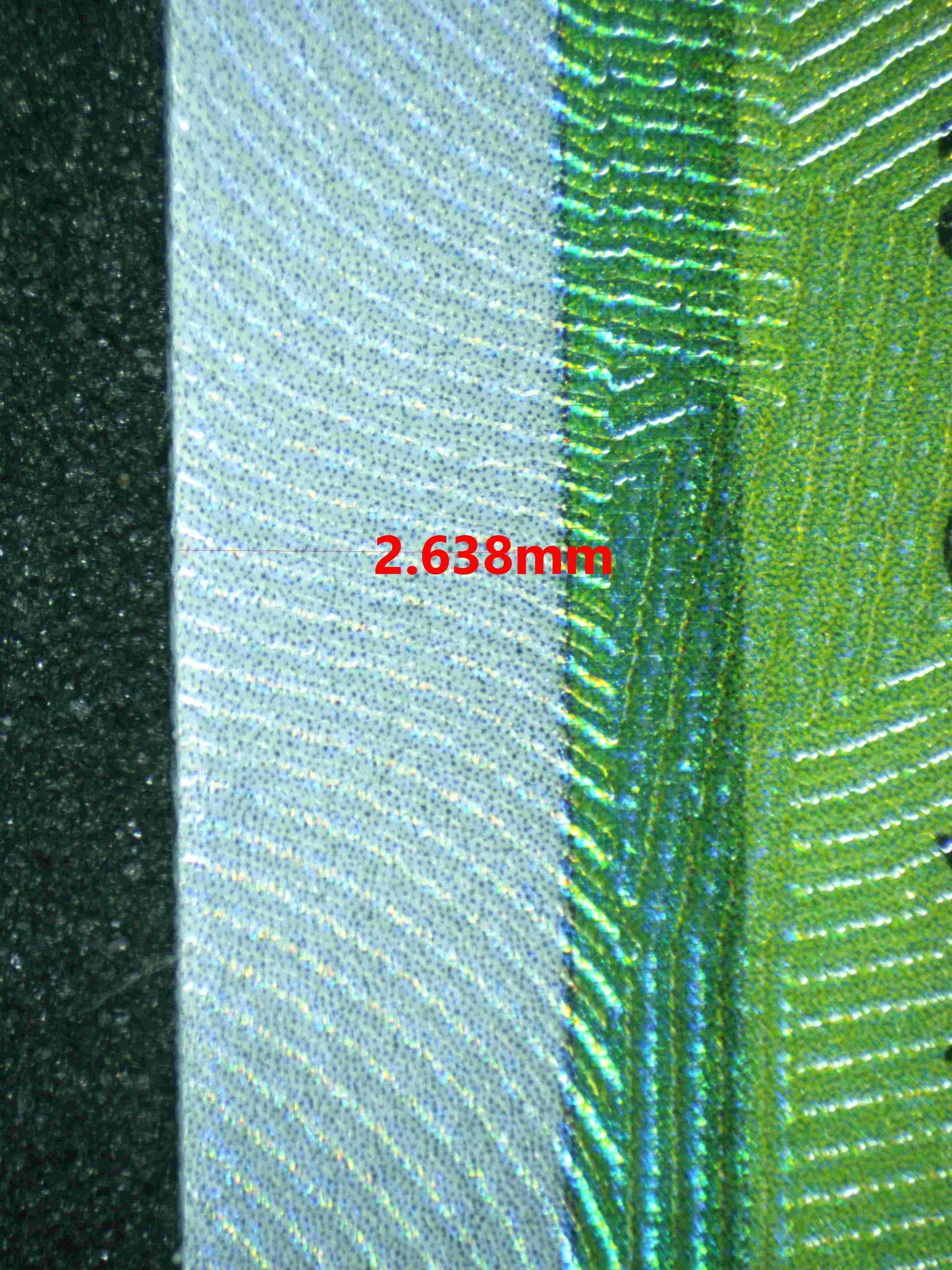 06023 DIPPLIN - ValueUp