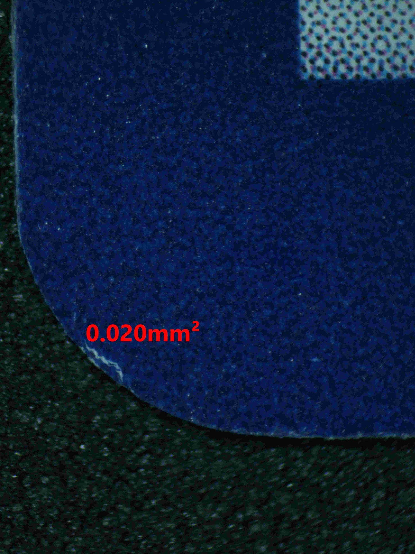 06036 BULBASAUR - ValueUp