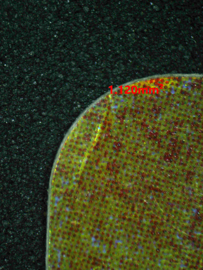 06039 ANCIENT MEW (MOVIE 2000) - ValueUp