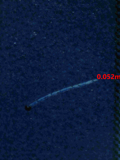 06064 CHARIZARD EX - ValueUp