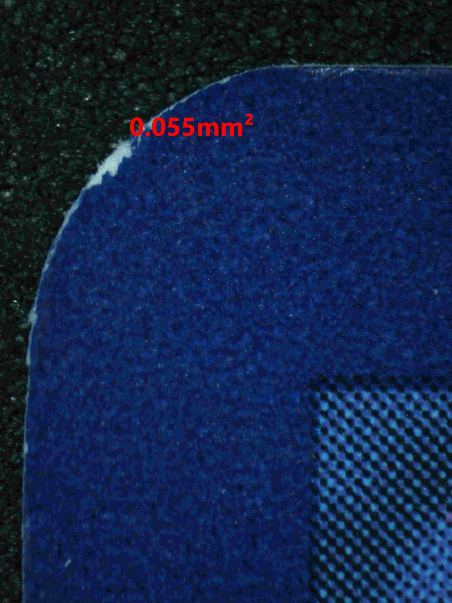 06067 BLASTOISE EX (SPANISH) - ValueUp