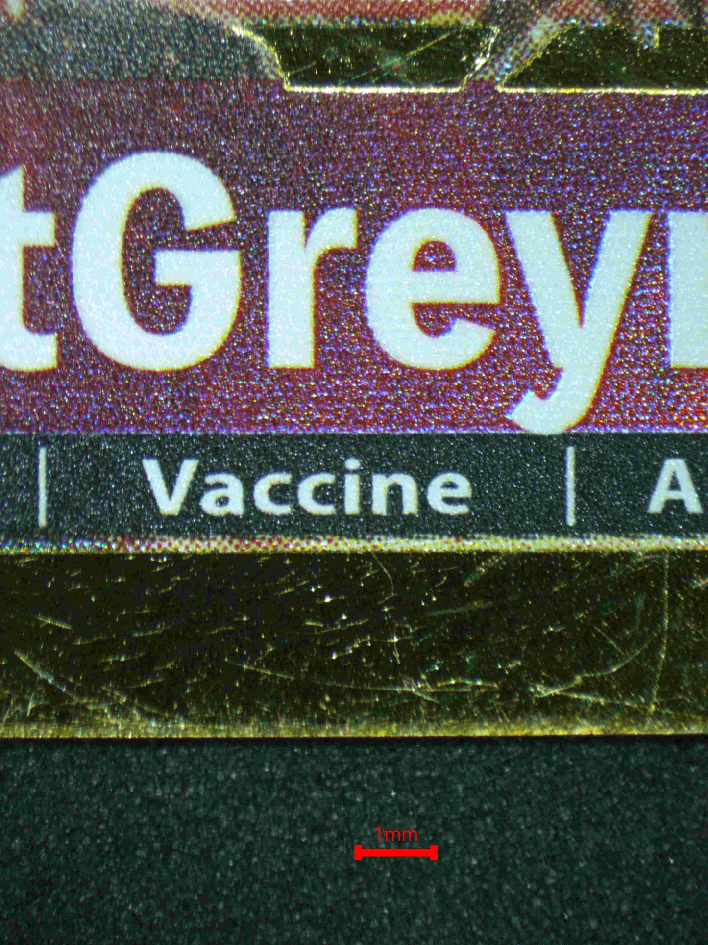 06081 ANCIENTGREYMON - ValueUp