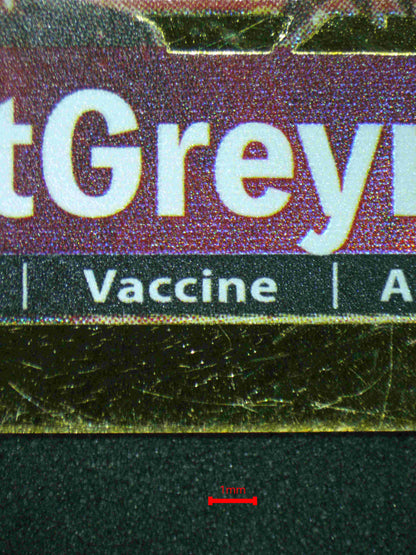 06081 ANCIENTGREYMON - ValueUp