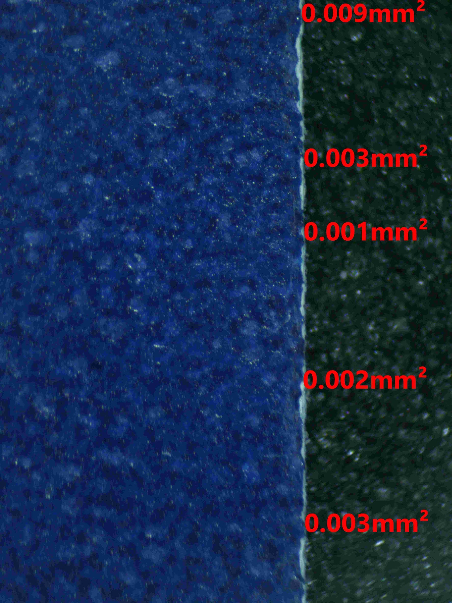 06085 BLASTOISE EX - ValueUp