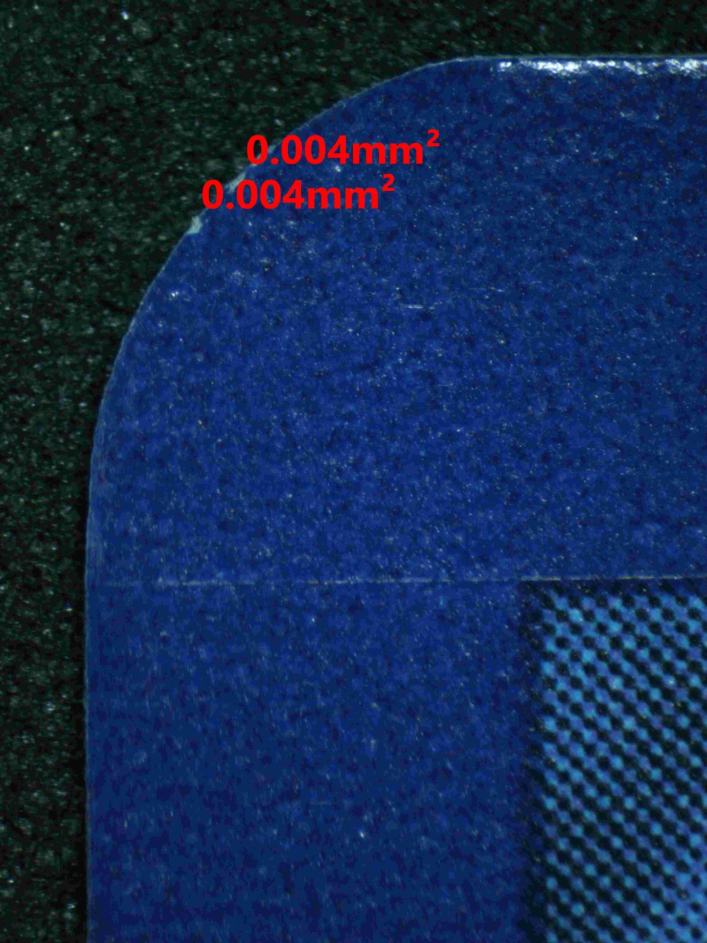 06094 FRIENDS IN PALDEA - ValueUp