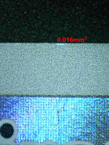 06095 N'S RESHIRAM - ValueUp