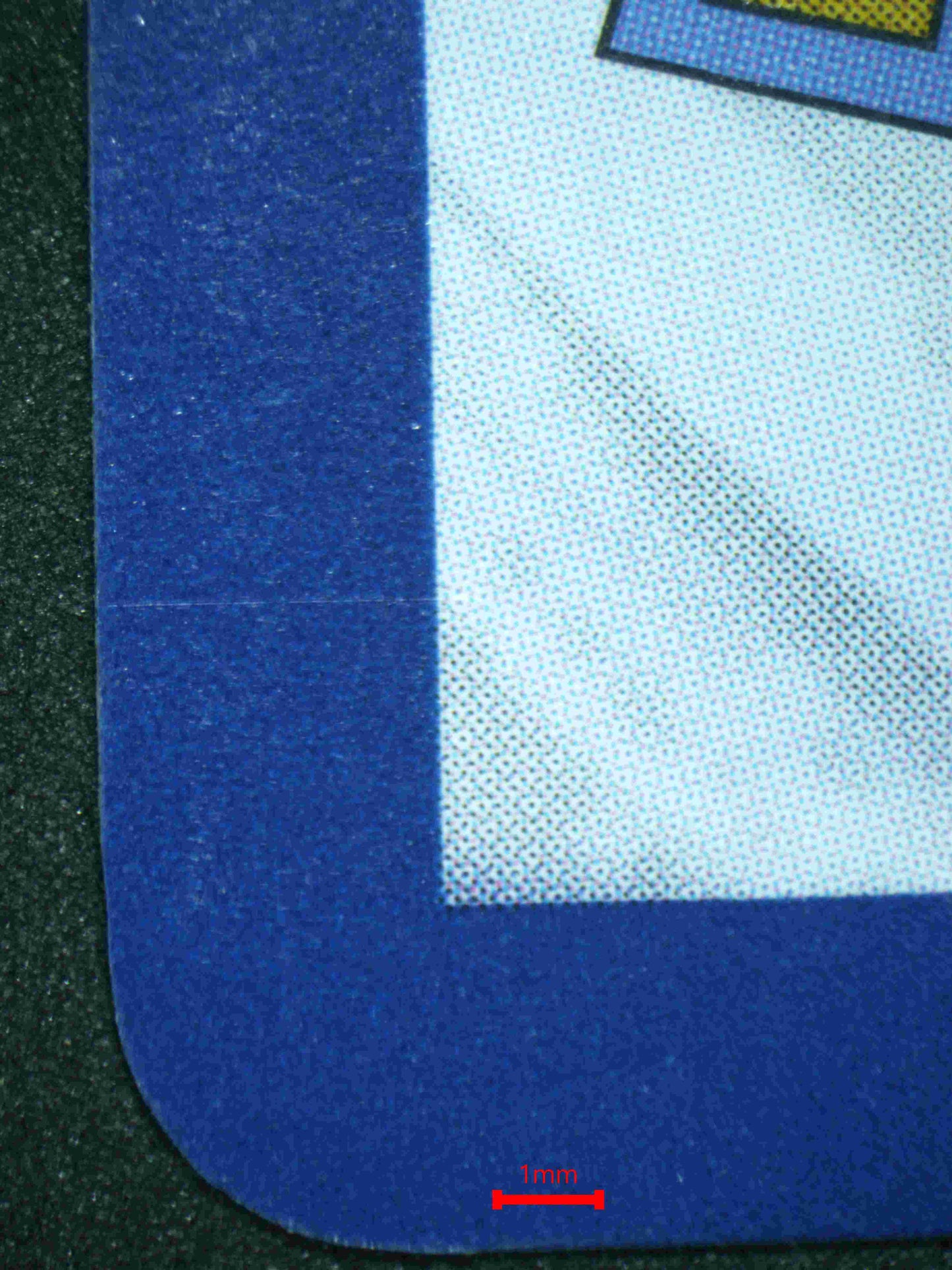 06106 FLUTTER MANE - ValueUp