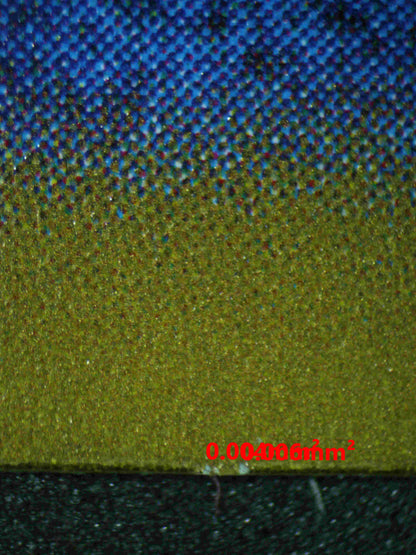 06107 MARILL (JAPANESE) - ValueUp