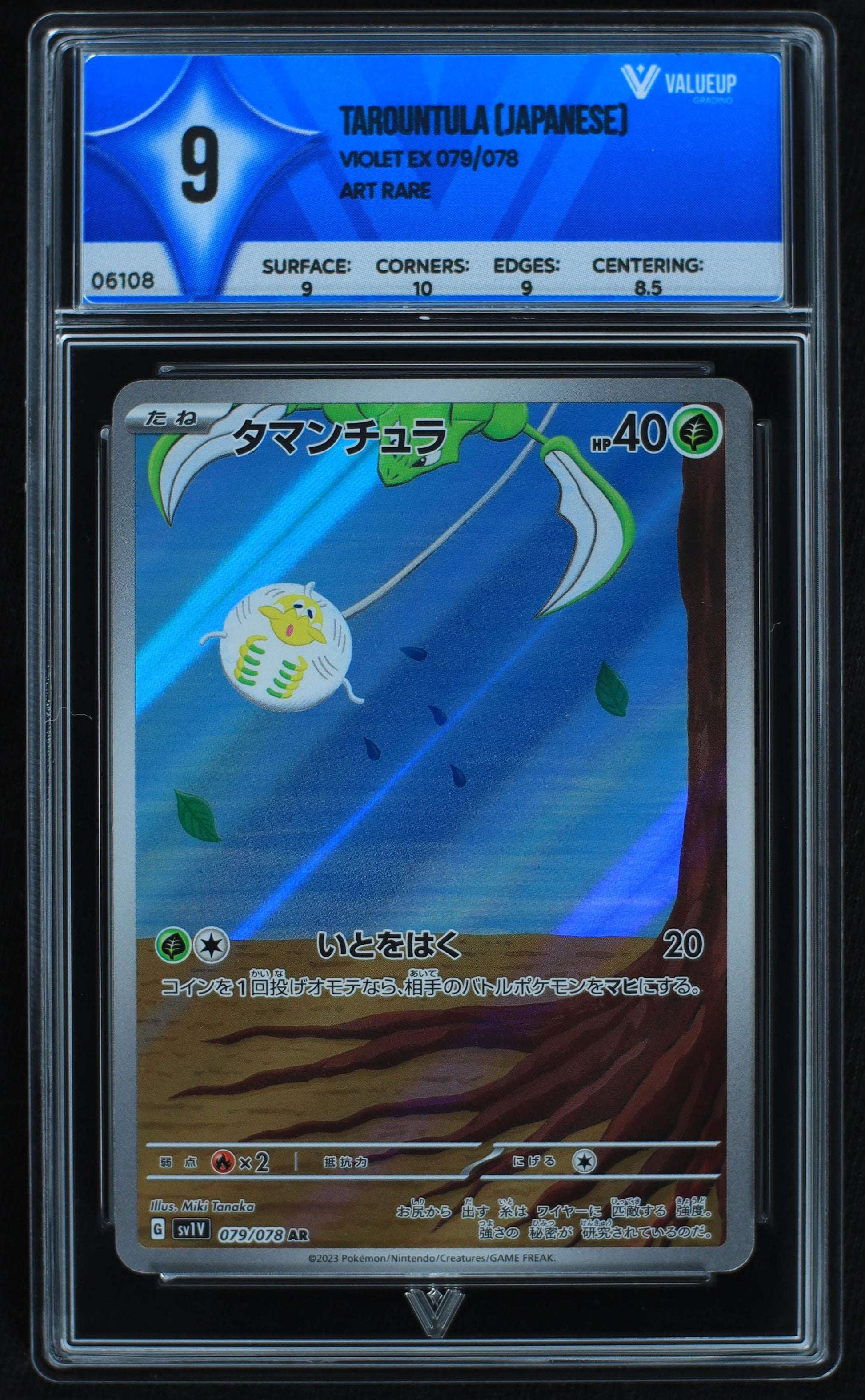 06108 TAROUNTULA (JAPANESE) - ValueUp