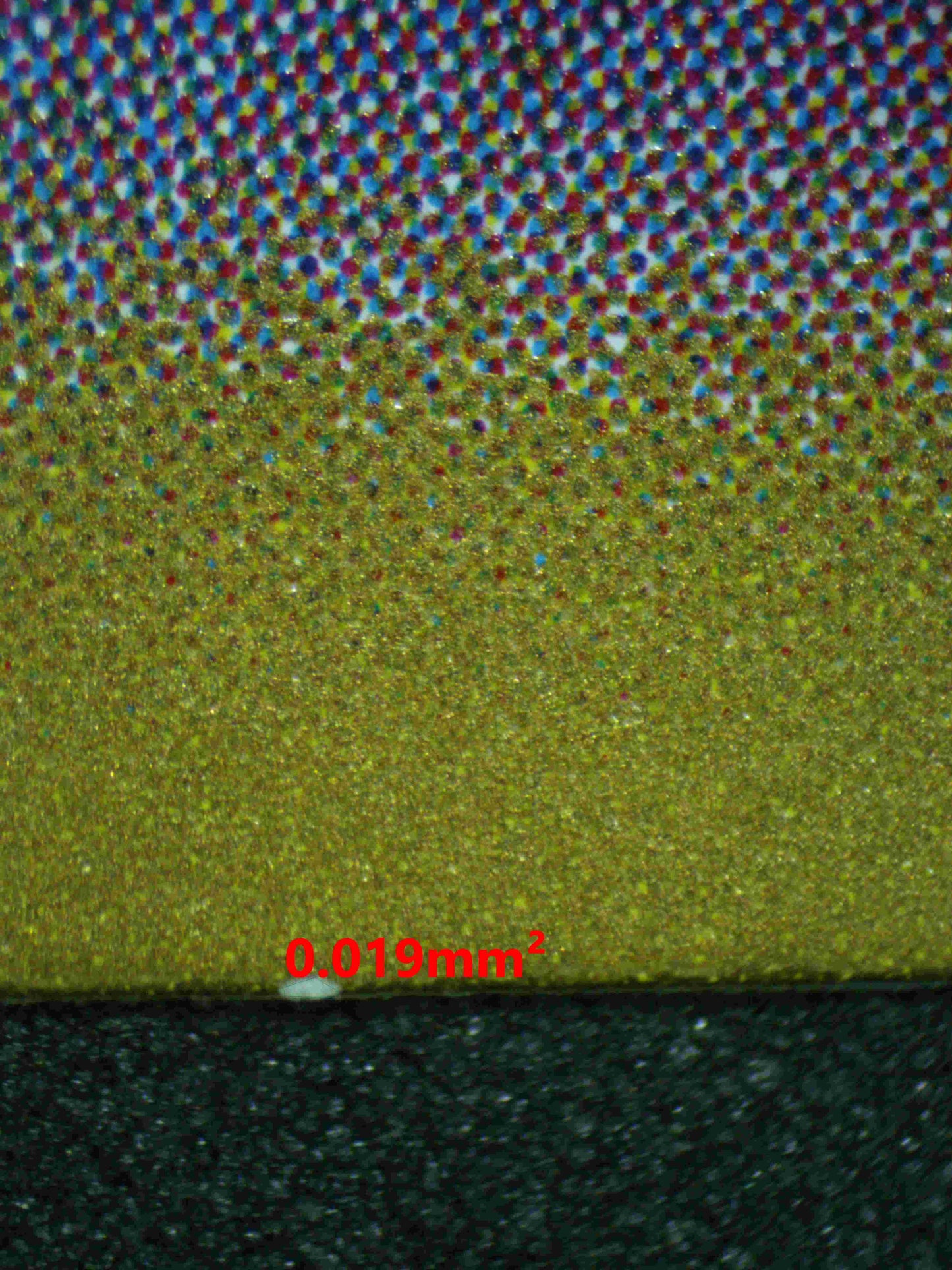 06108 TAROUNTULA (JAPANESE) - ValueUp