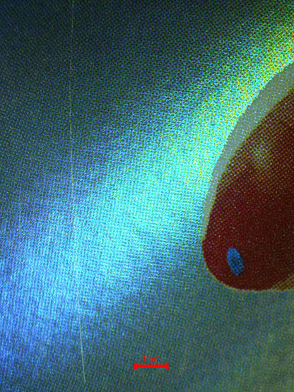 06110 ORTHWORM (JAPANESE) - ValueUp