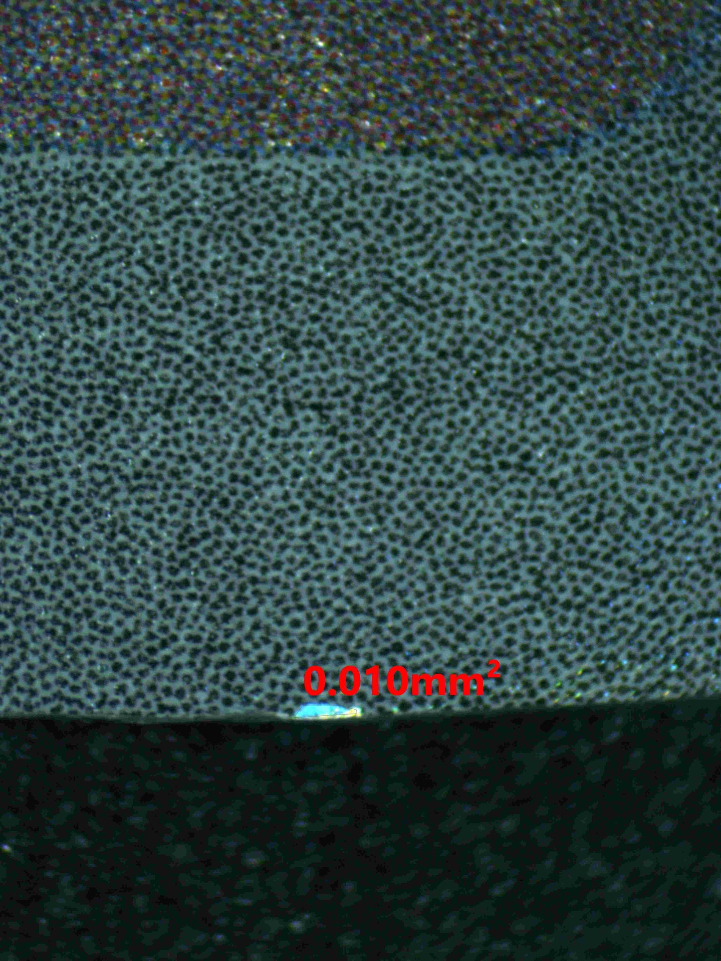 06111 EEVEE - ValueUp