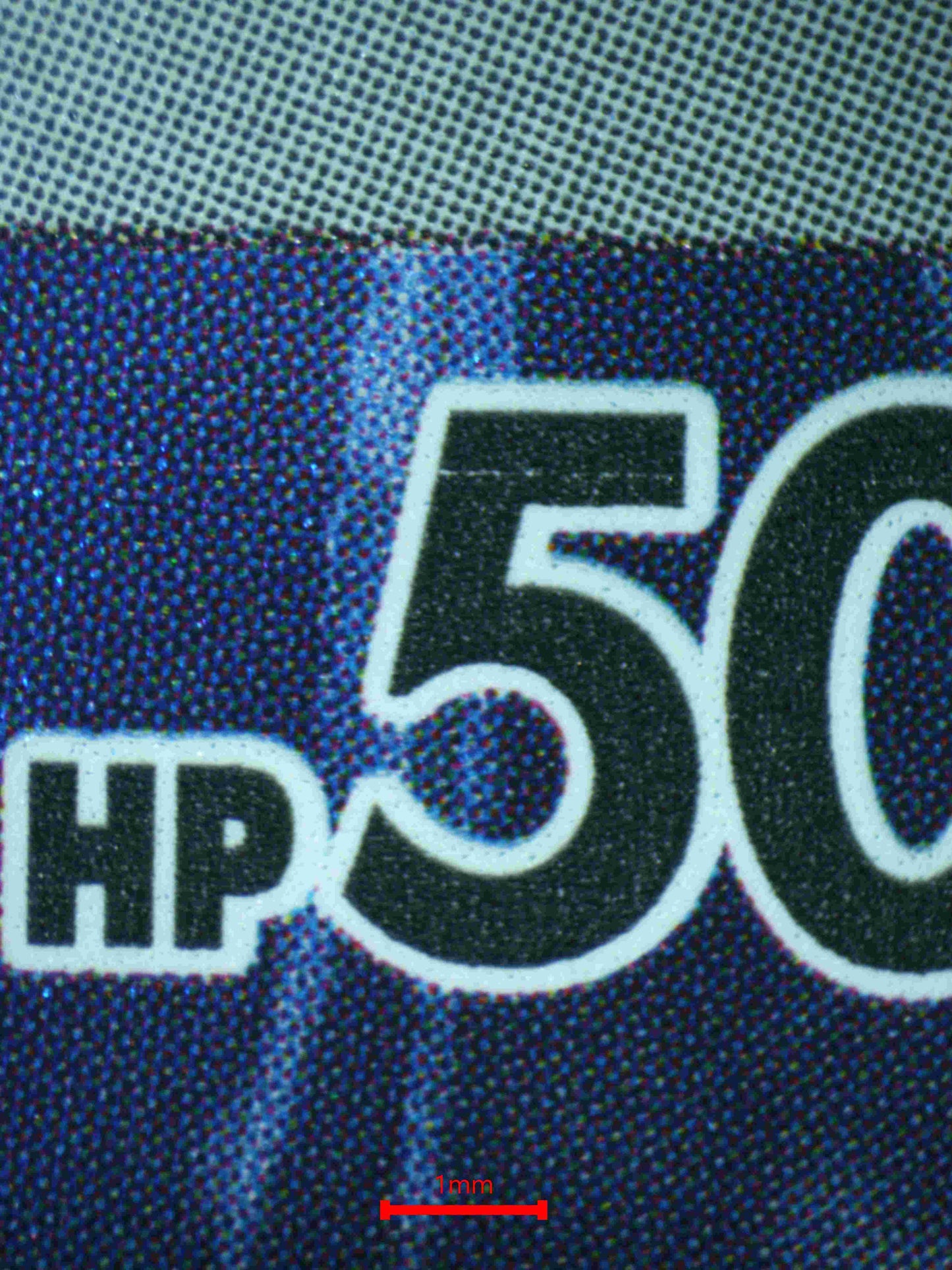 06115 SNOM (JAPANESE) - ValueUp