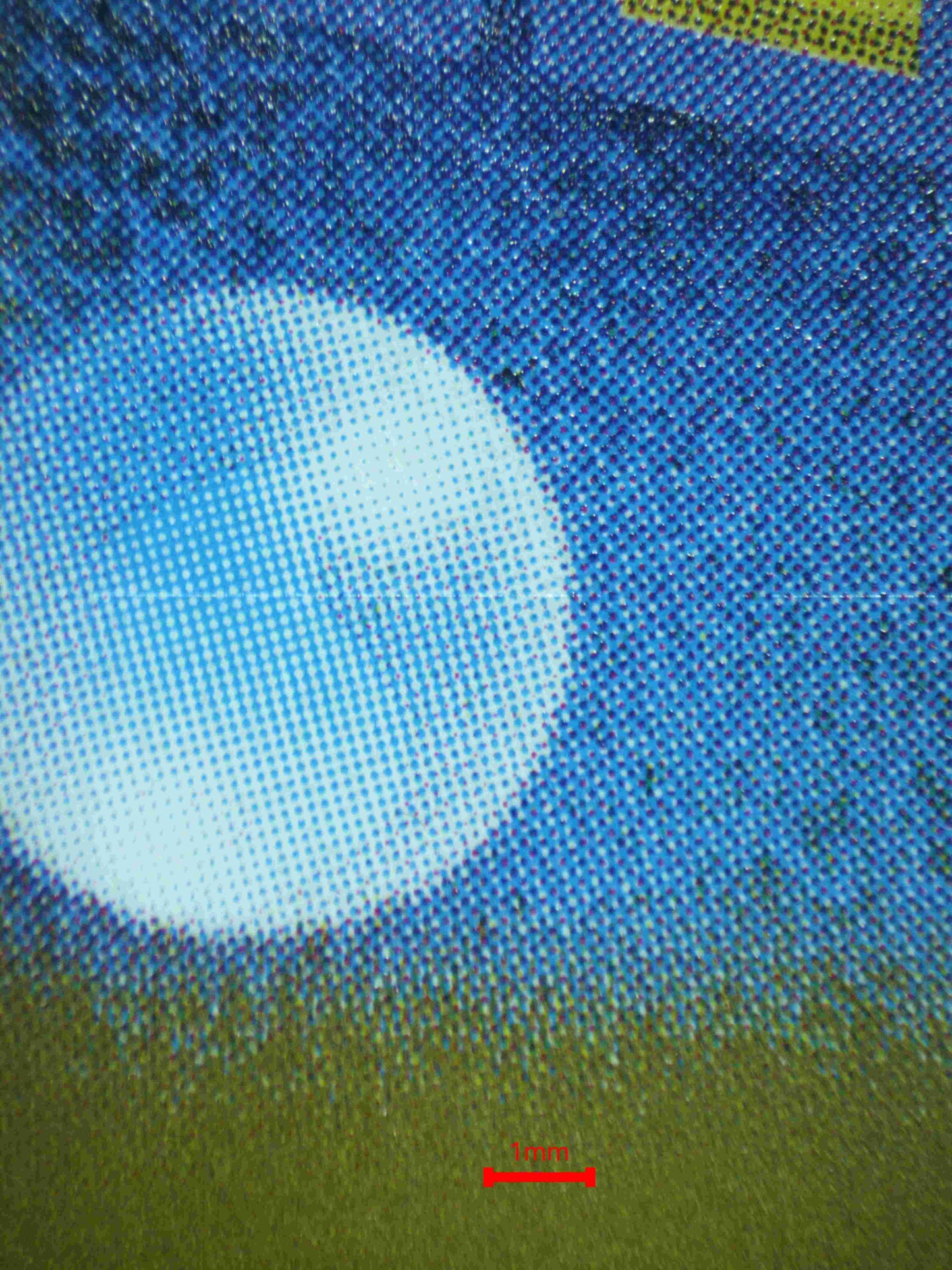 06116 TAPU BULU (JAPANESE) - ValueUp