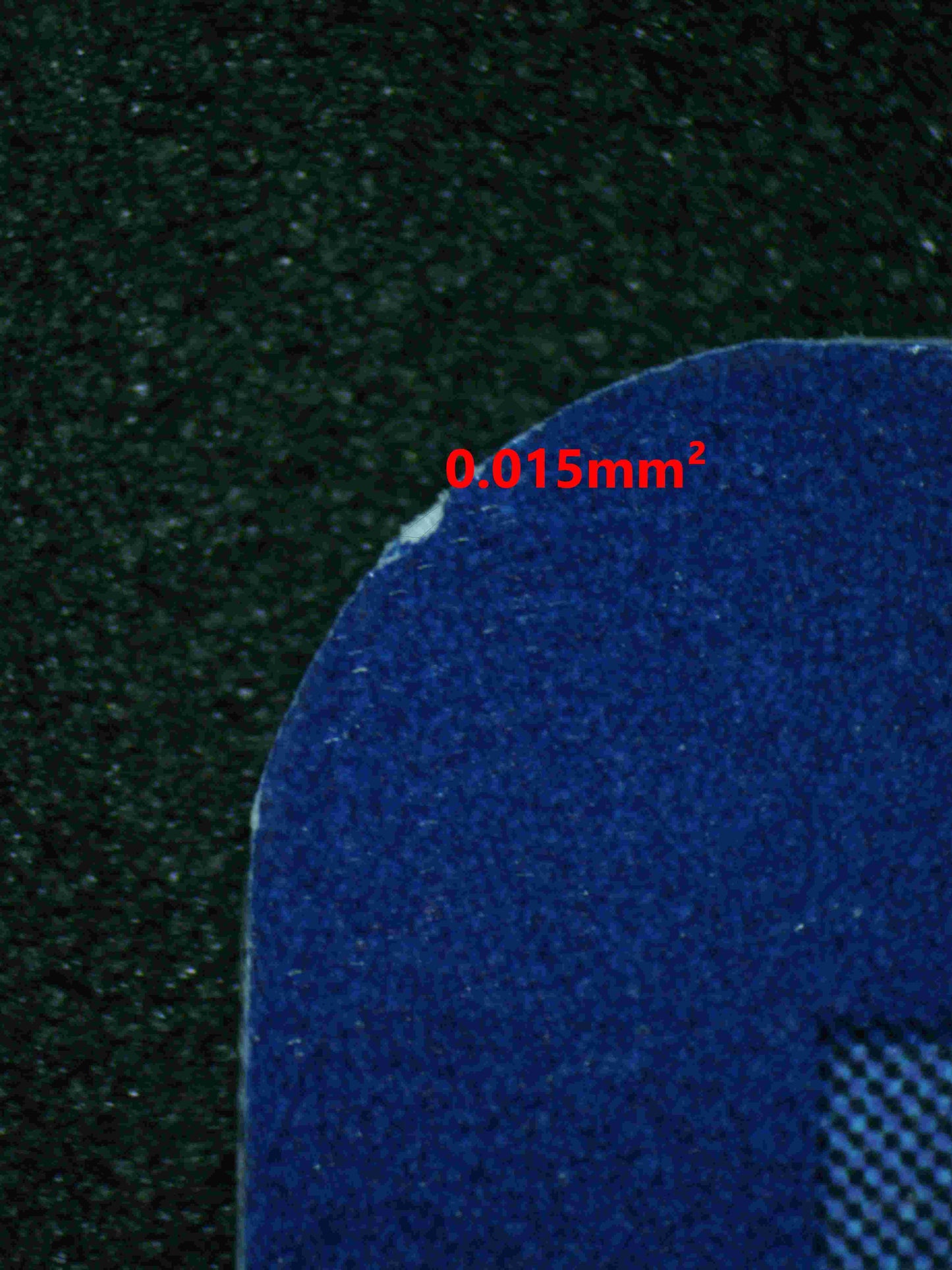 06124 SHIINOTIC (SPANISH) - ValueUp