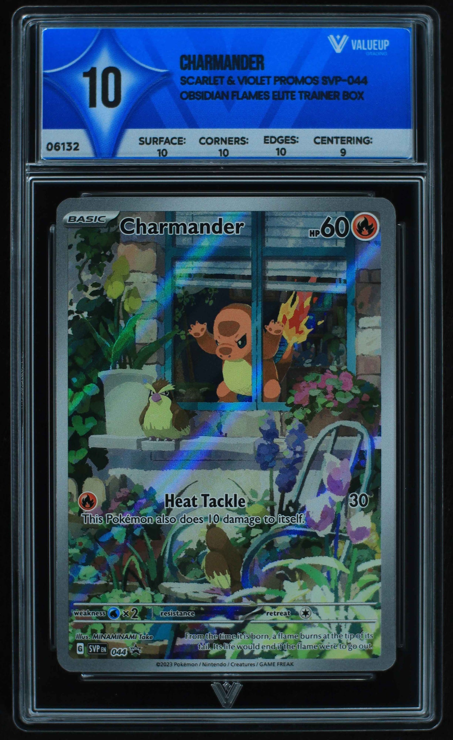 06132 CHARMANDER - ValueUp