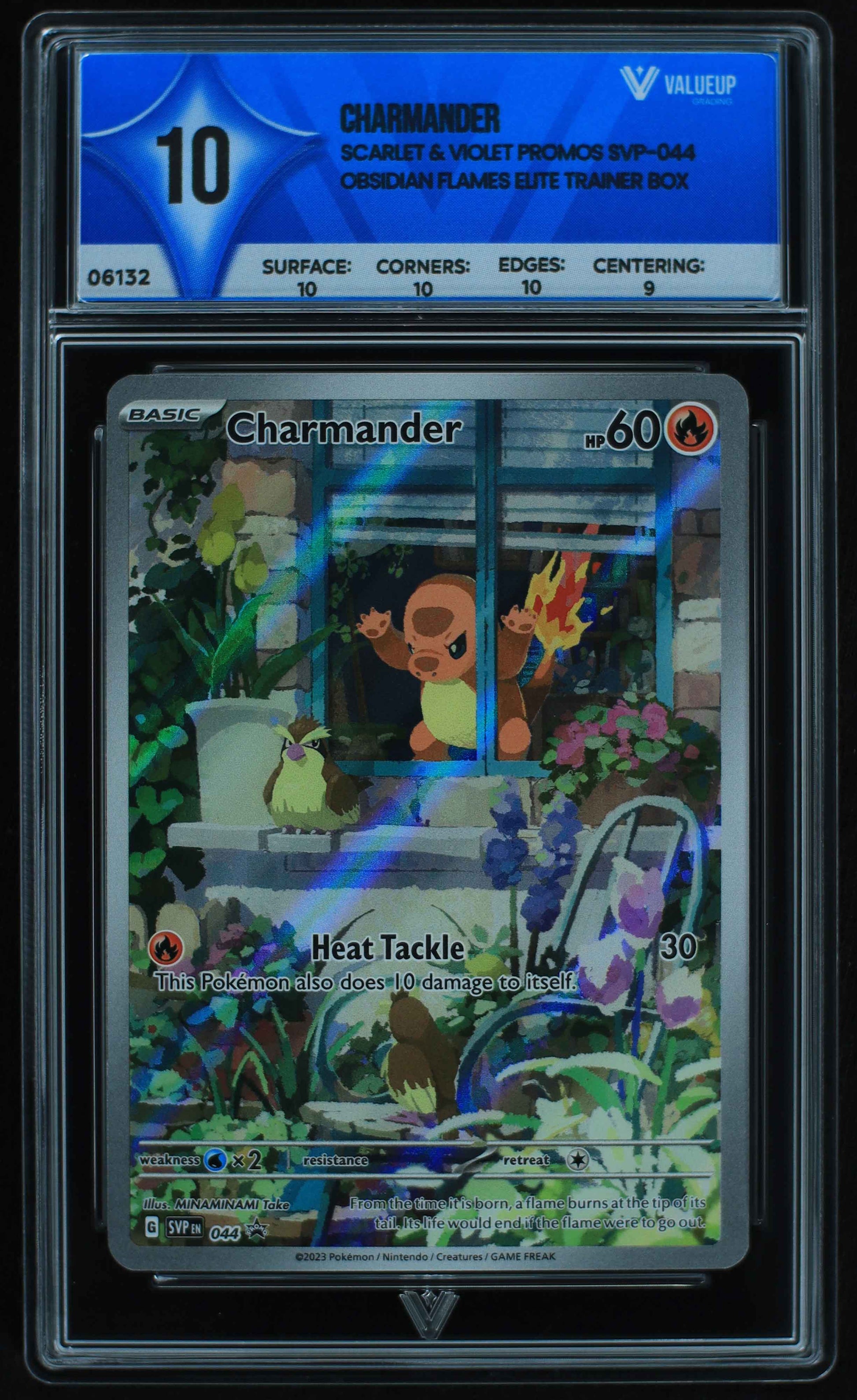 06132 CHARMANDER - ValueUp
