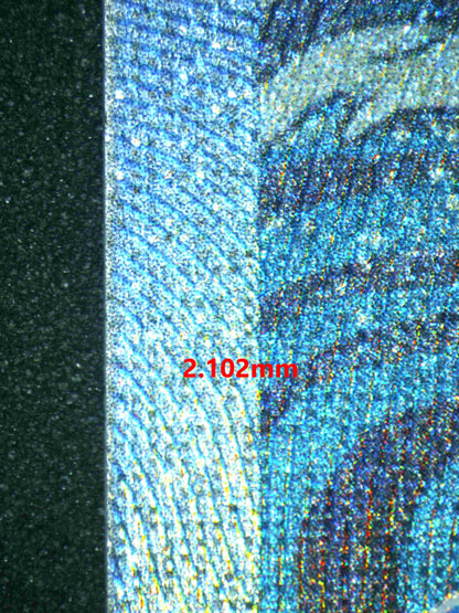 06141 KINGDRA EX - ValueUp