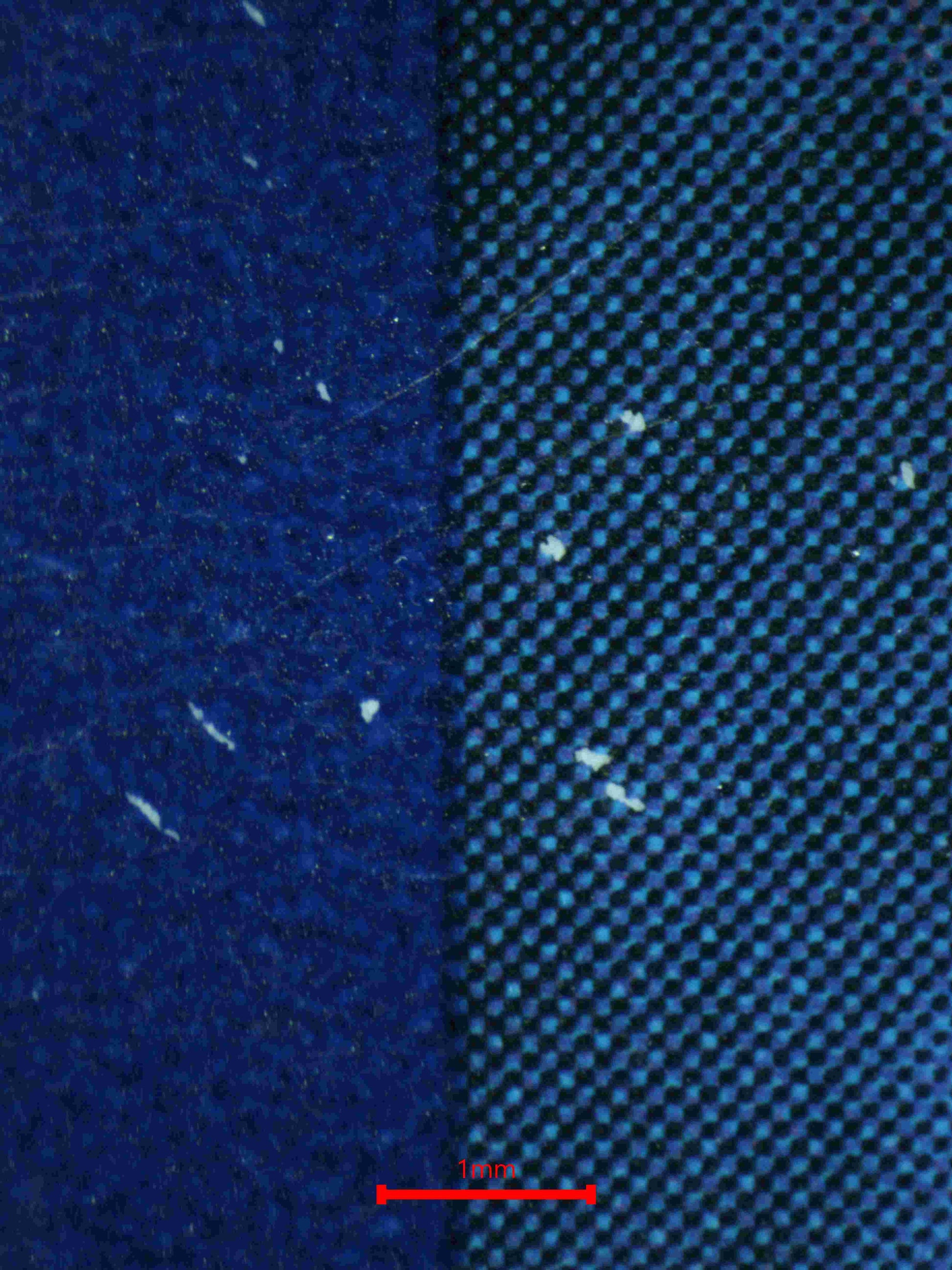 06196 MISTY'S DETERMINATION - ValueUp