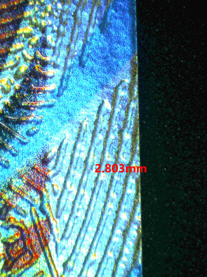06198 M CHARIZARD EX - ValueUp
