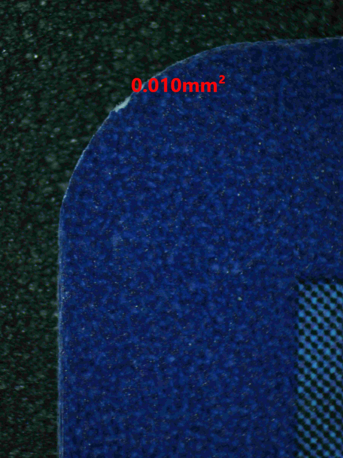 06204 PIPLUP - ValueUp