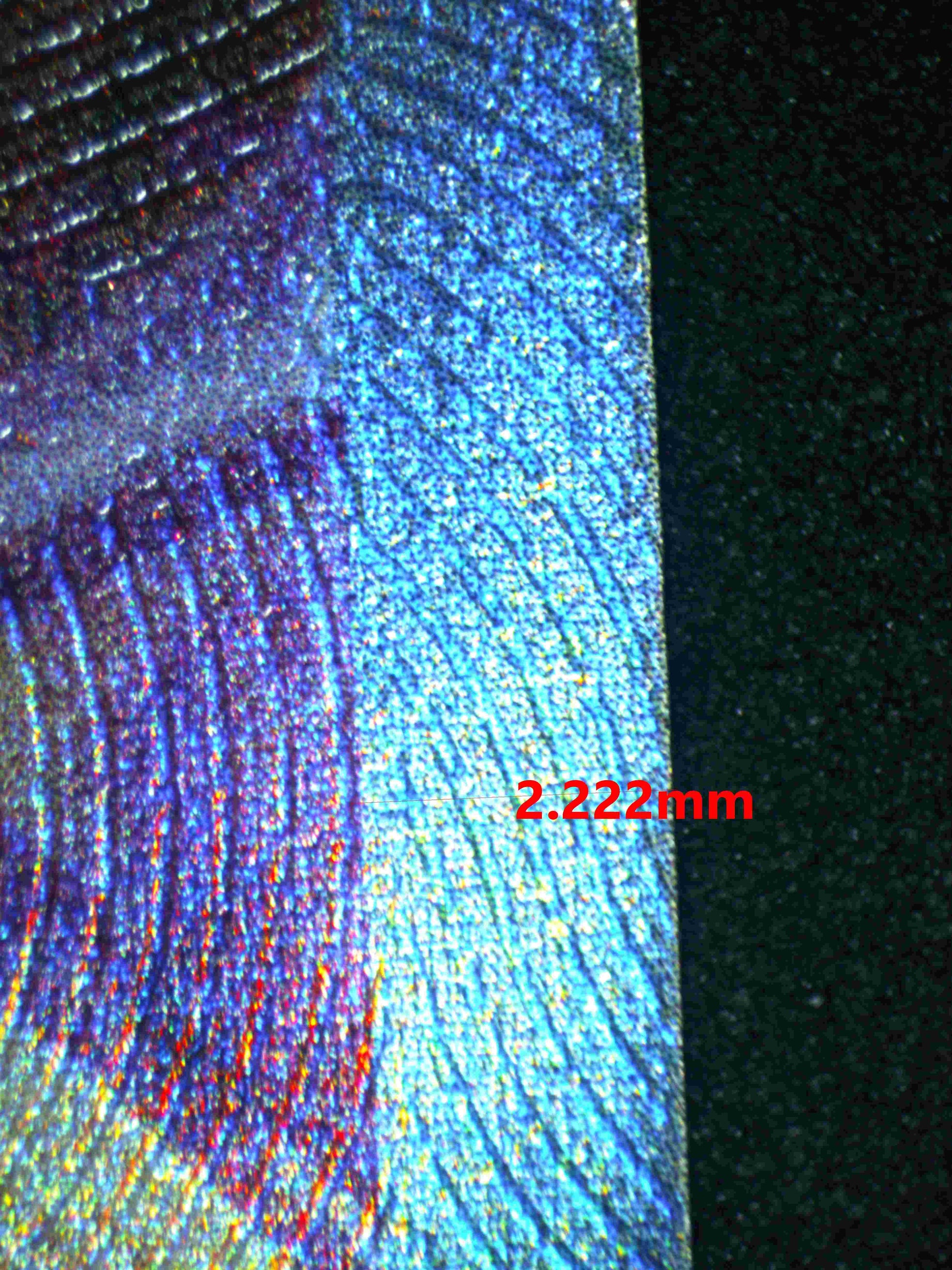 06206 ESPEON V (SPANISH) - ValueUp