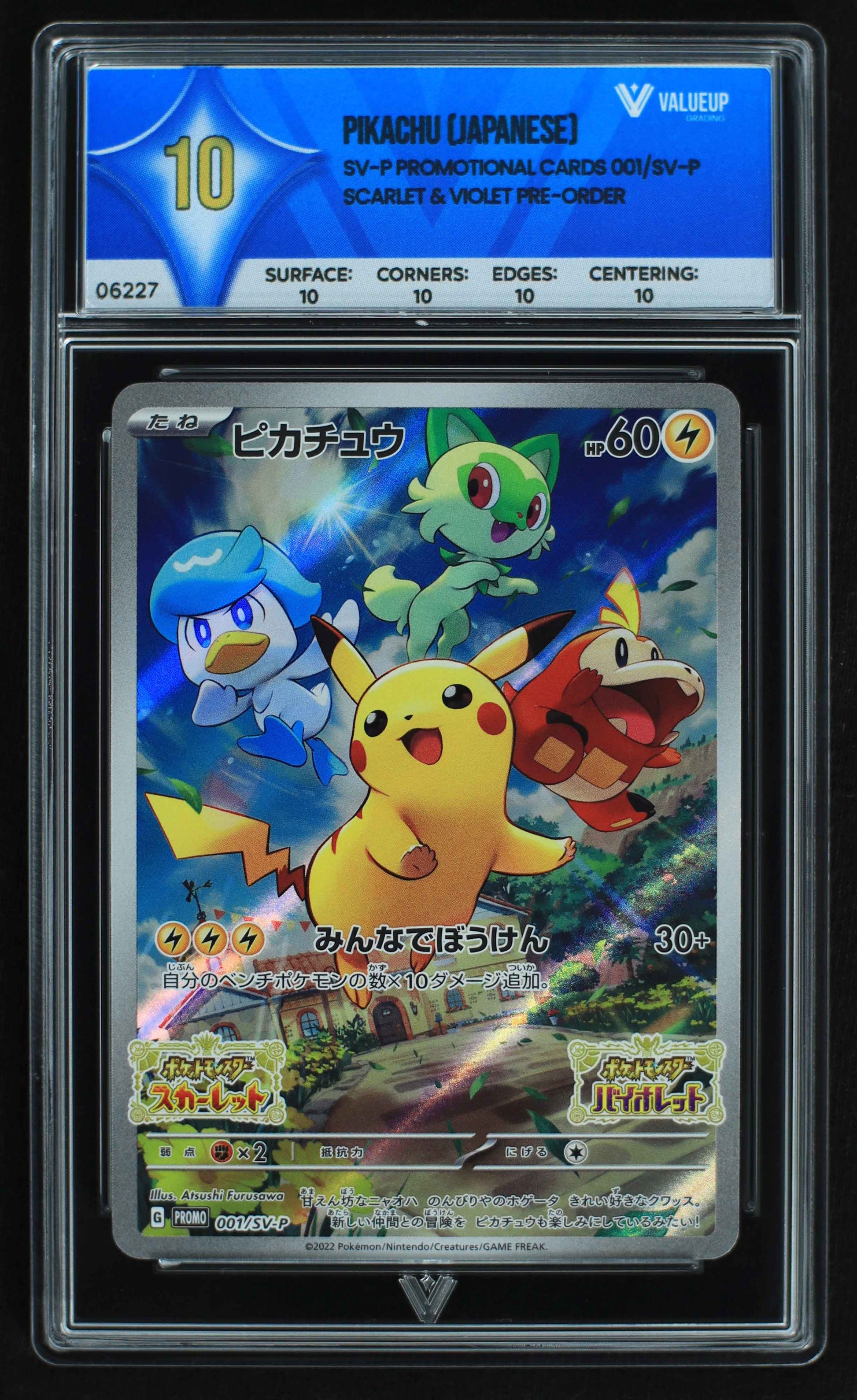 06227 PIKACHU (JAPANESE) Grading Card