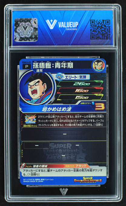 06234 SON GOHAN: ADOLESCENCE (JAPANESE) Grading Card