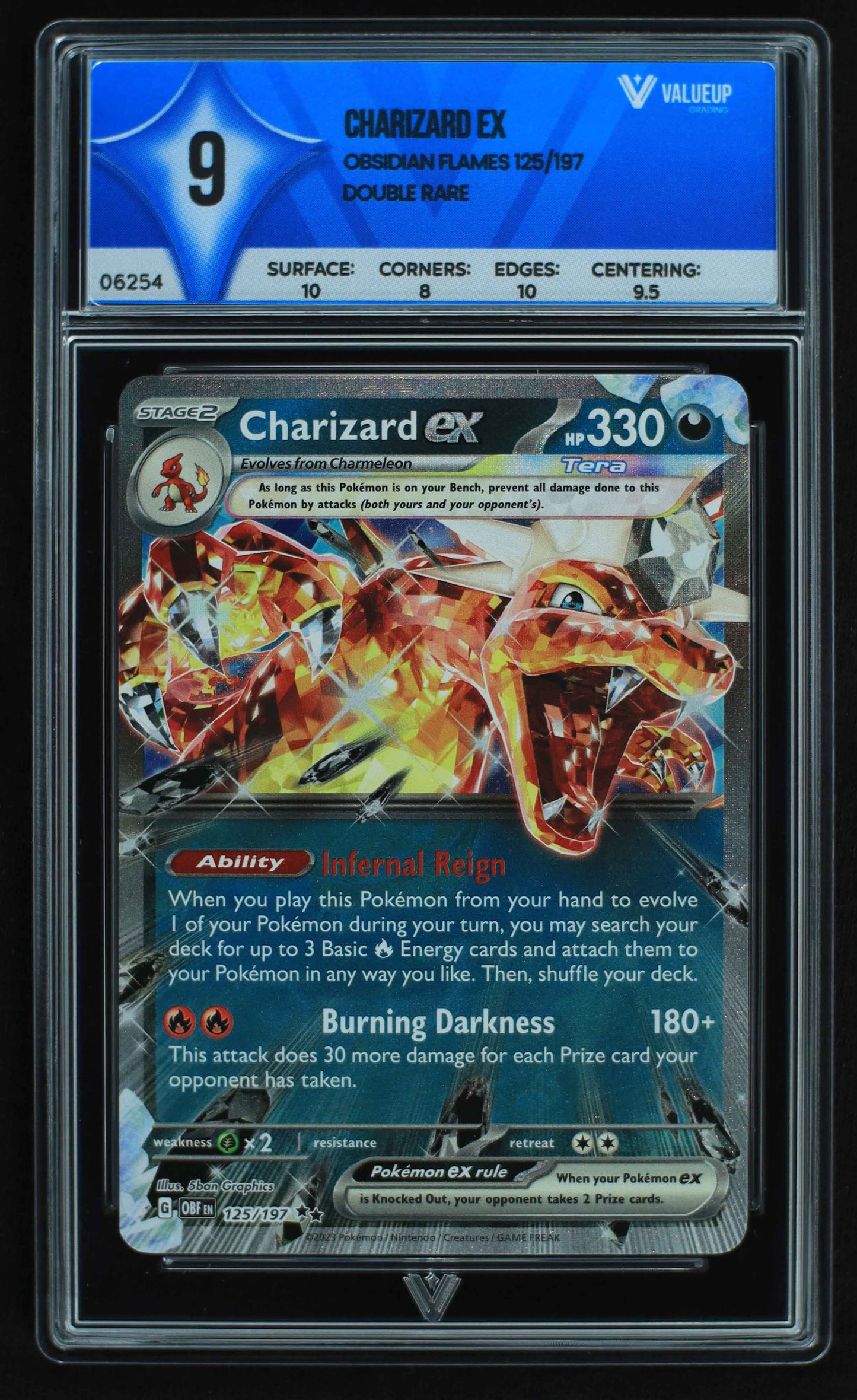 06254 CHARIZARD EX Grading Card