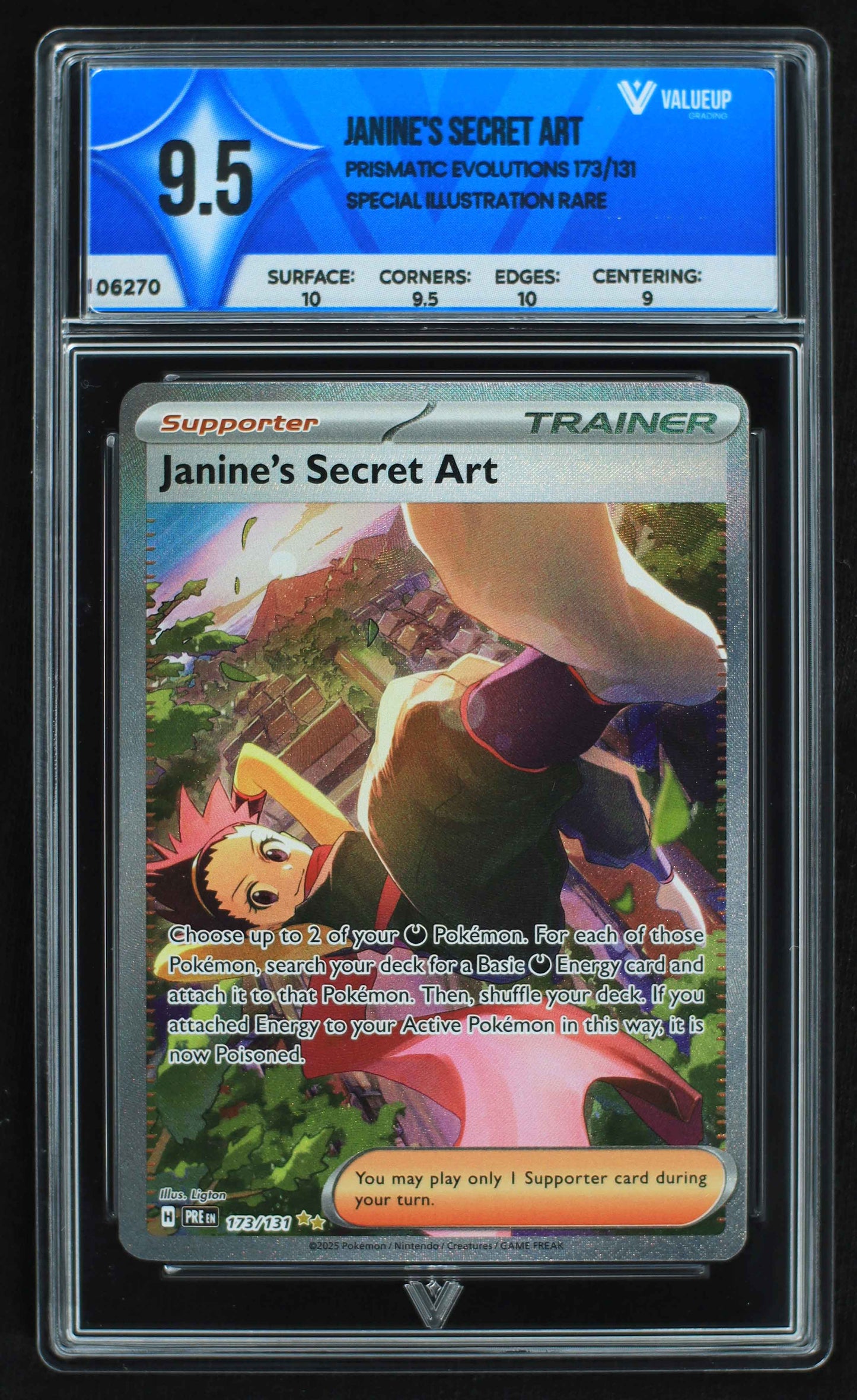 06270 JANINE'S SECRET ART Grading Card