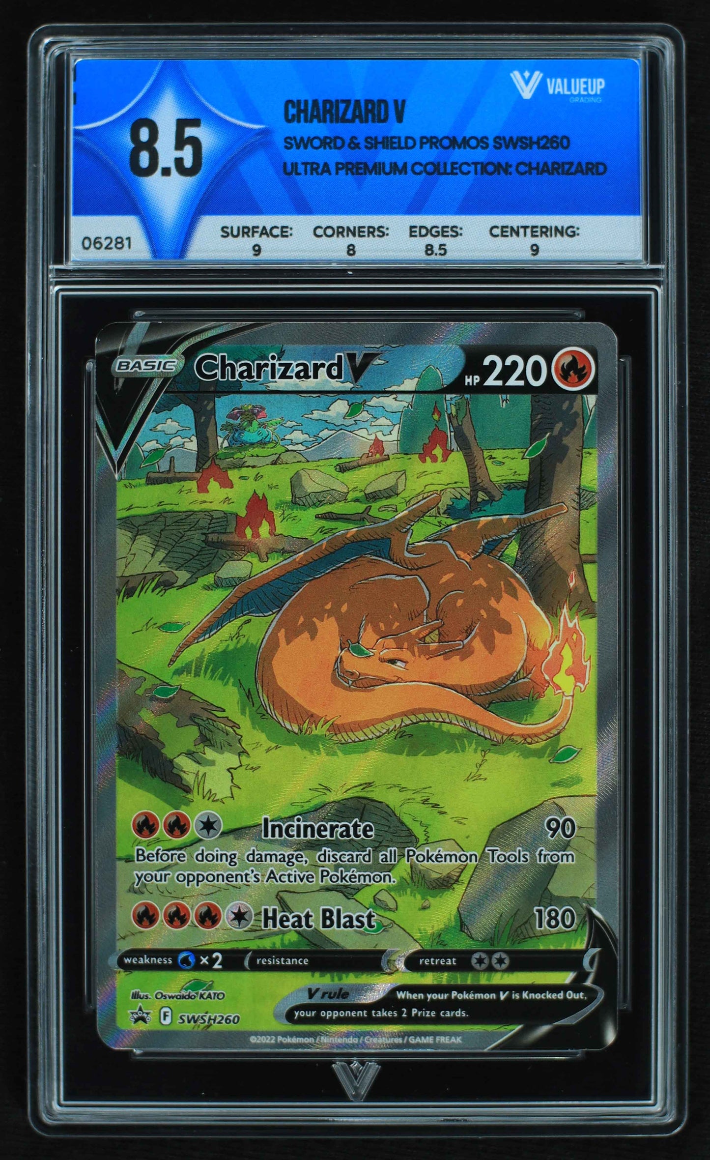 06281 CHARIZARD V Grading Card
