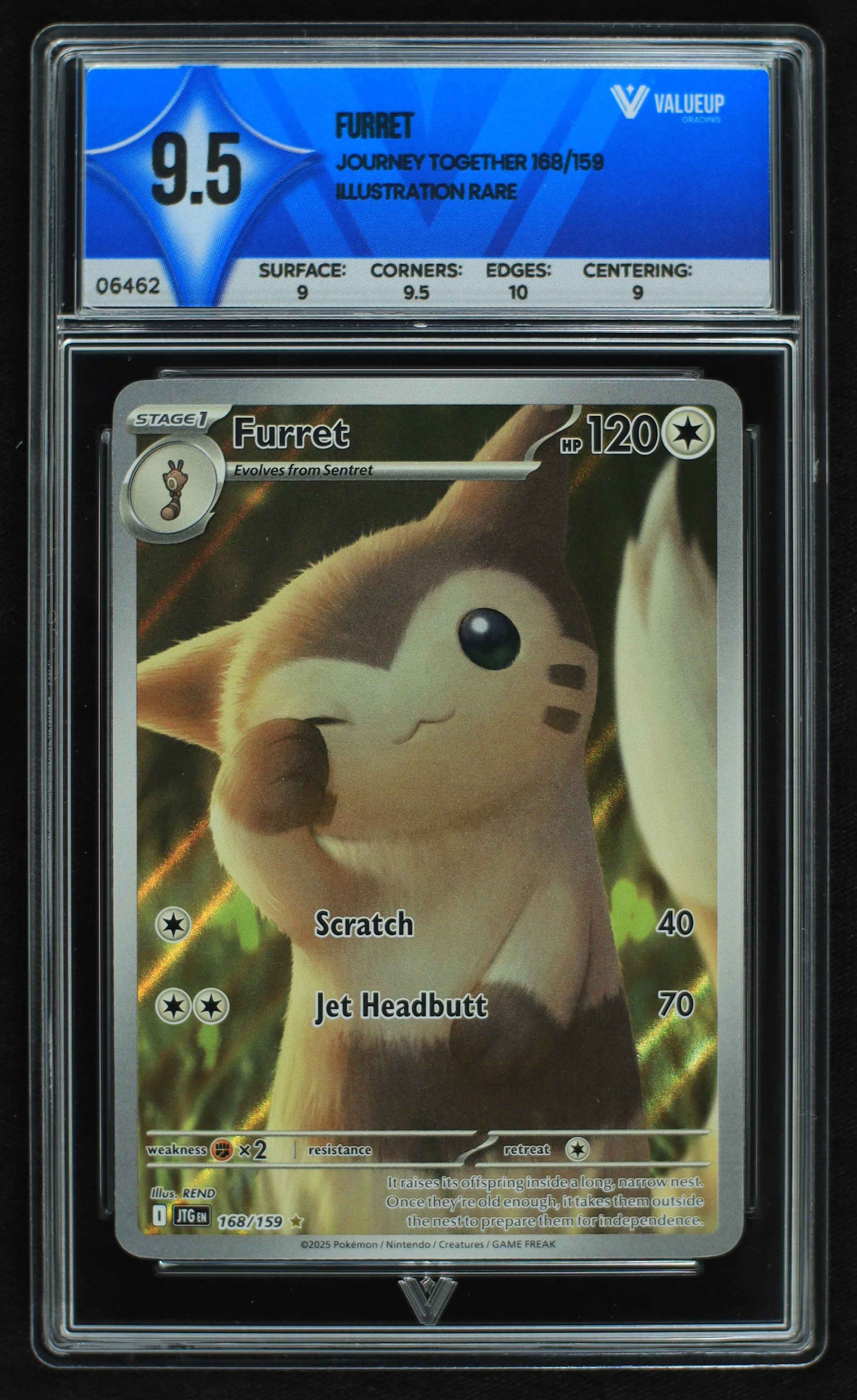 06462 FURRET Grading Card