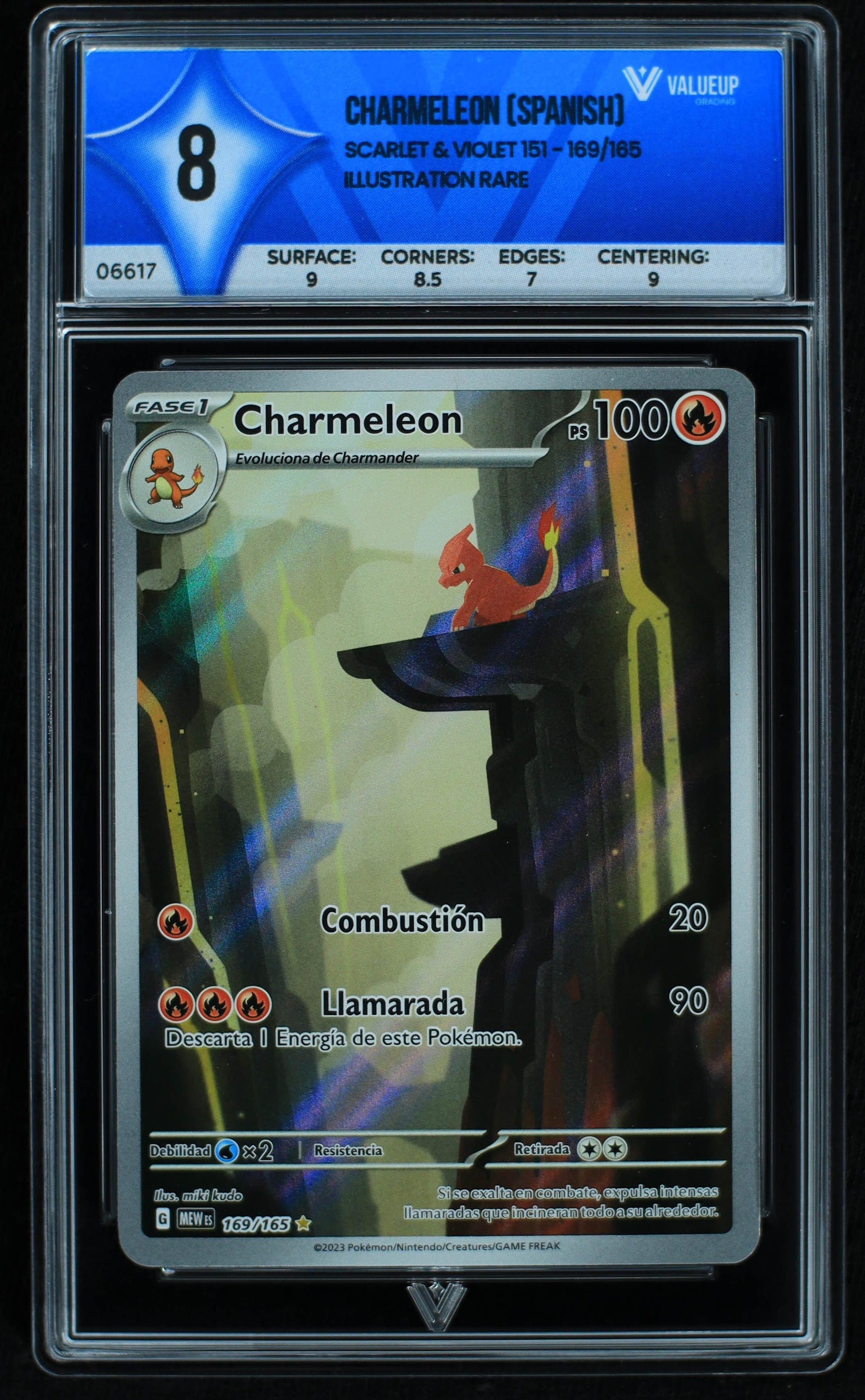 06617 CHARMELEON (SPANISH) Grading Card