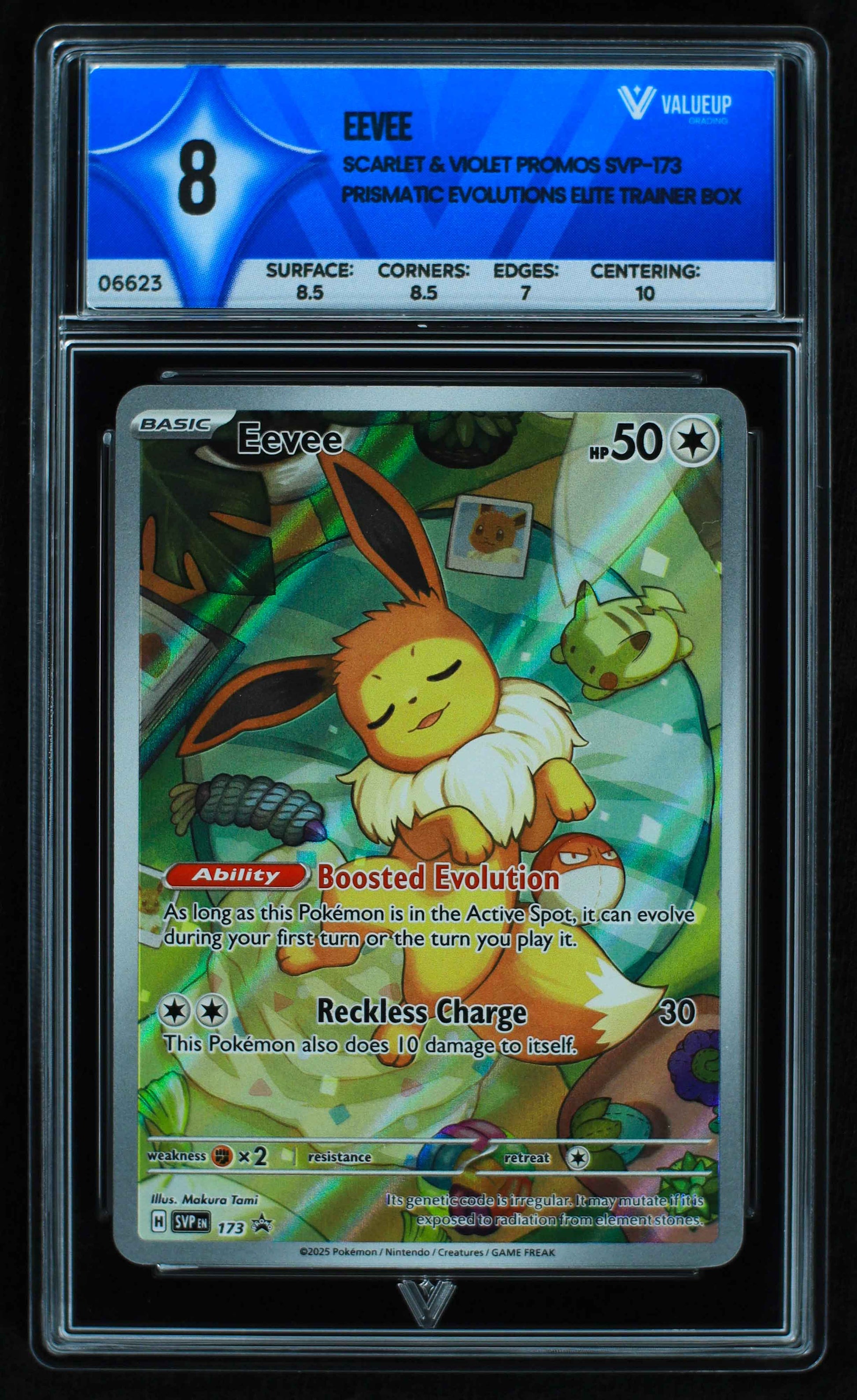 06623 EEVEE Grading Card