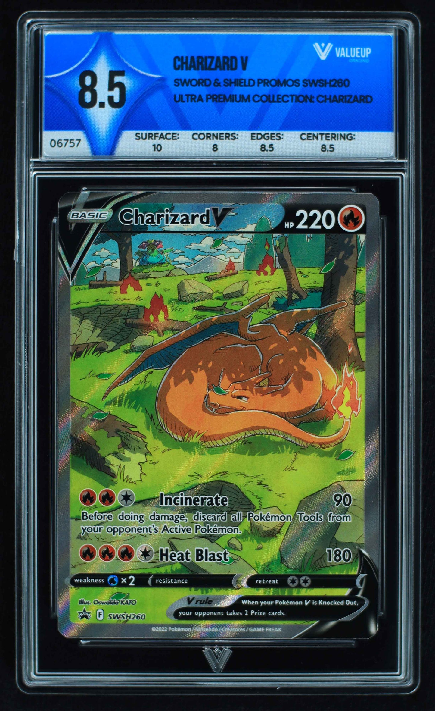 06757 CHARIZARD V Grading Card