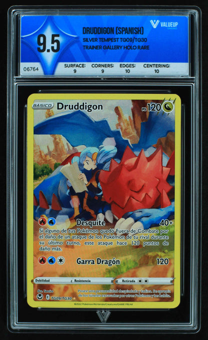 06764 DRUDDIGON (SPANISH) Grading Card