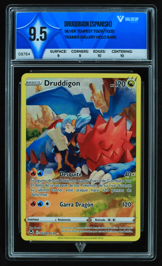 06764 DRUDDIGON (SPANISH) Grading Card