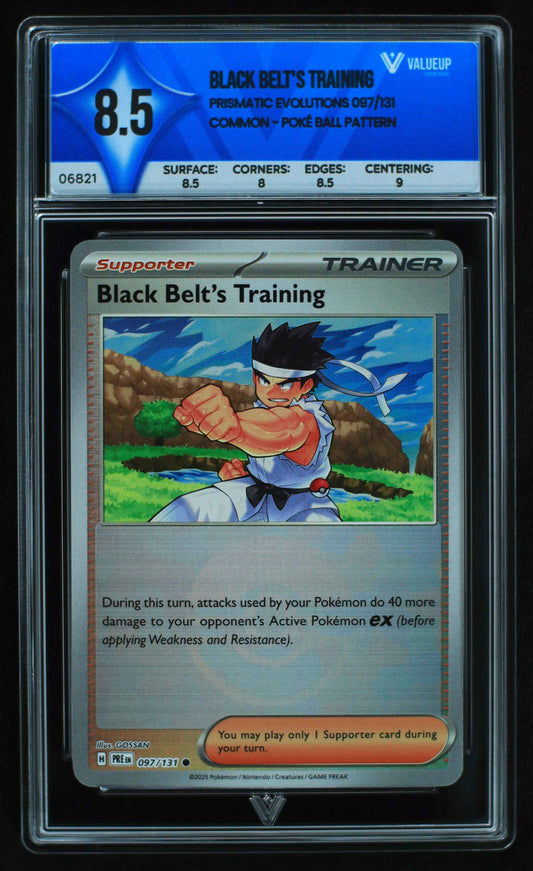 06821 BLACK BELT'S TRAINING Grading Card