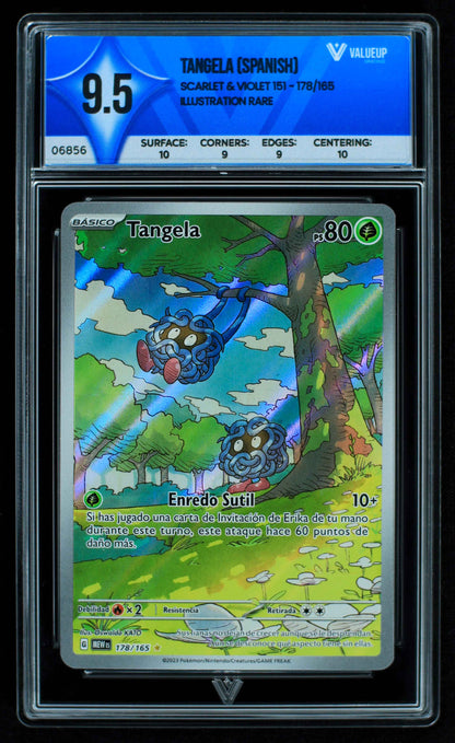 06856 TANGELA (SPANISH) Grading Card
