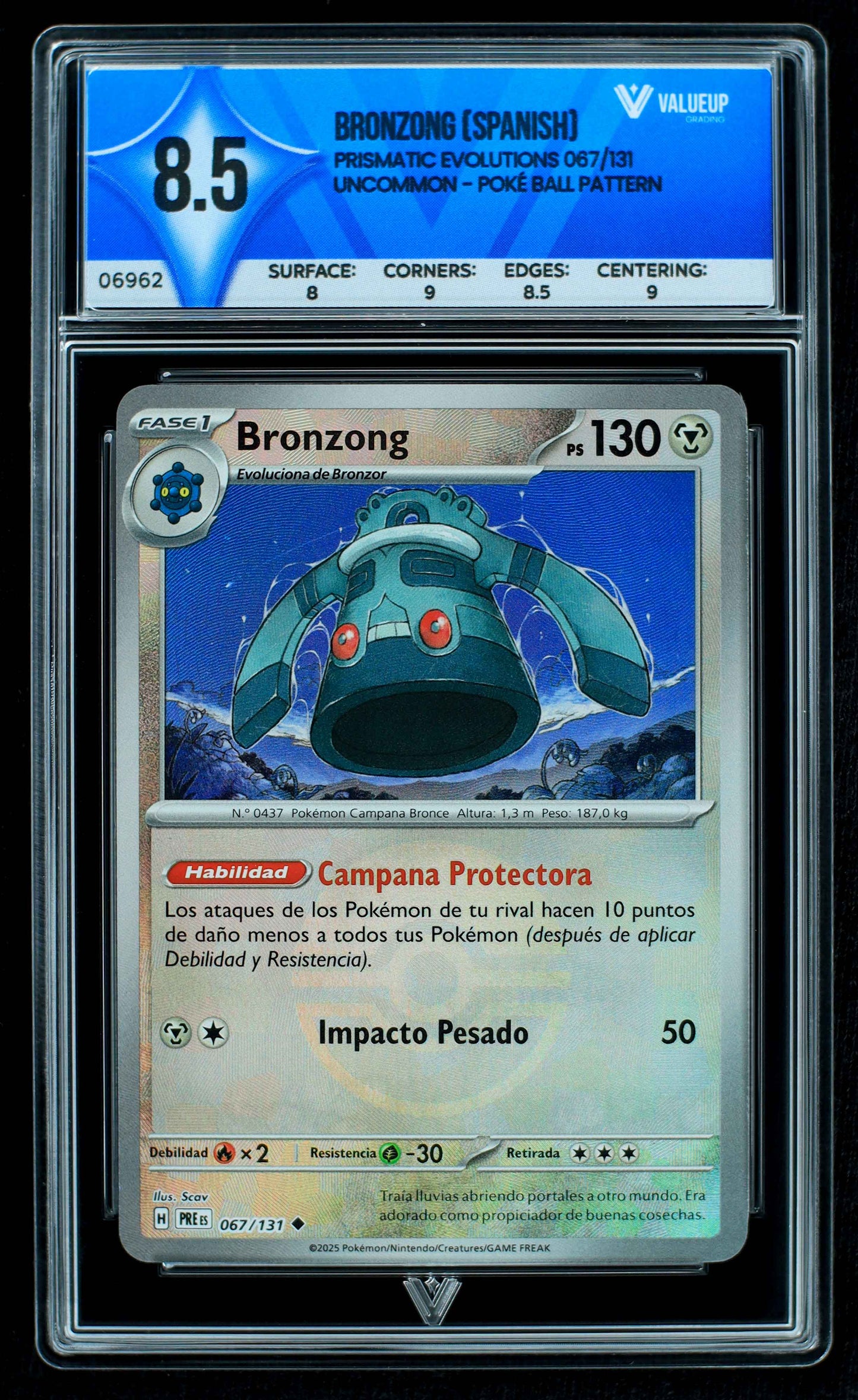 06962 BRONZONG (SPANISH) Grading Card