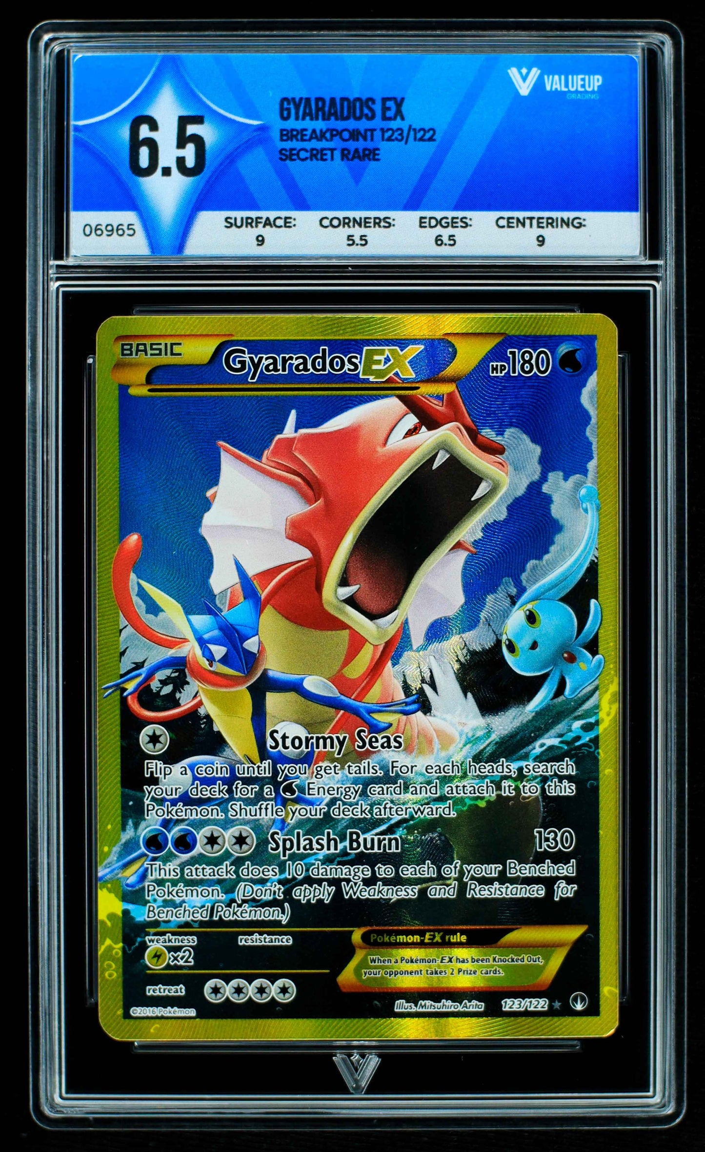 06965 GYARADOS EX Grading Card